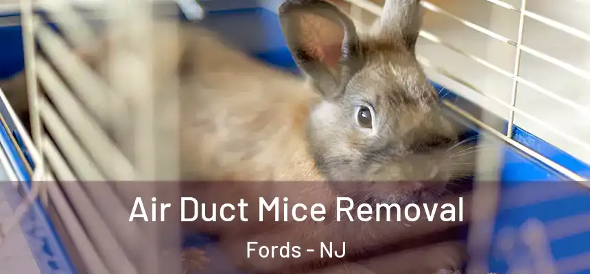  Air Duct Mice Removal Fords - NJ