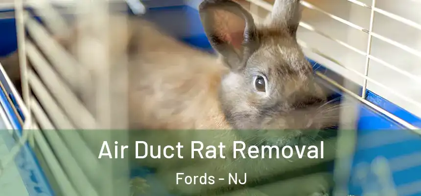Air Duct Rat Removal Fords - NJ