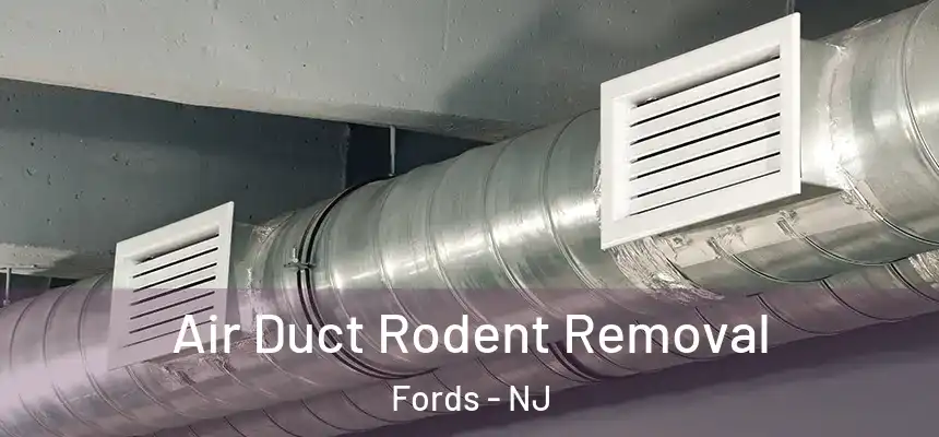  Air Duct Rodent Removal Fords - NJ