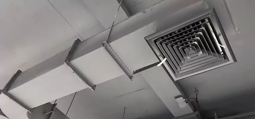 Restorative Allergy Relief Vent Cleaning – Coil, Blower & Housing Detail in Fords