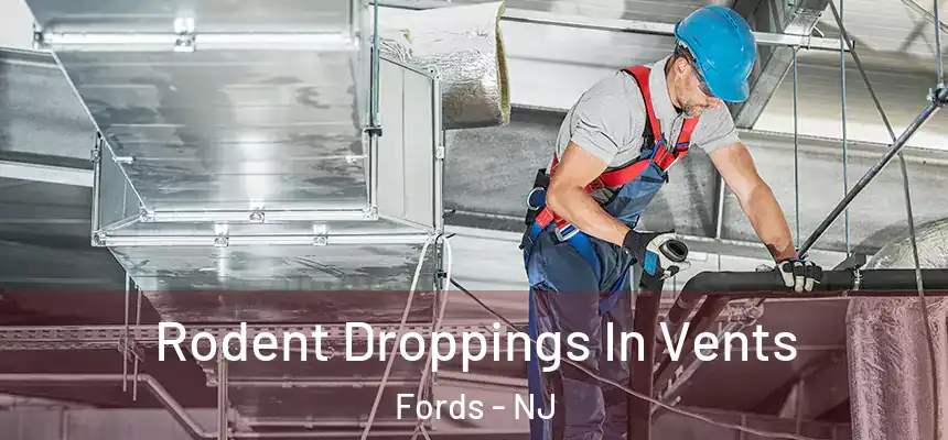  Rodent Droppings In Vents Fords - NJ
