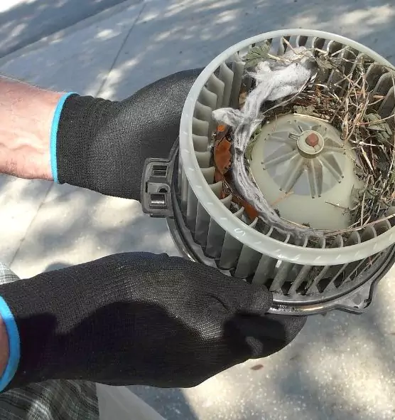 About Air Duct Rat Removal in Fords, NJ